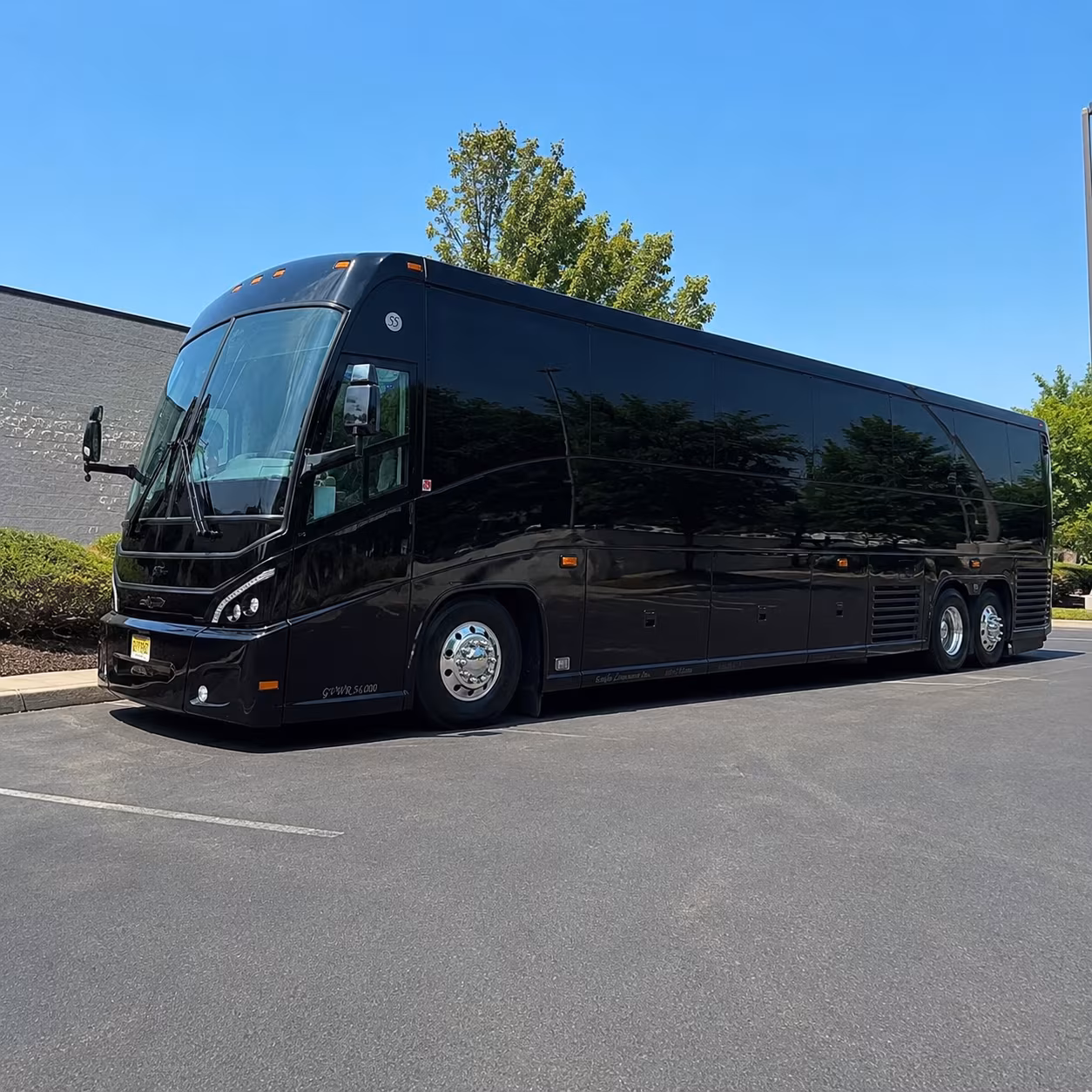 charter buses for audubon zoo and nature based field trips from kenner