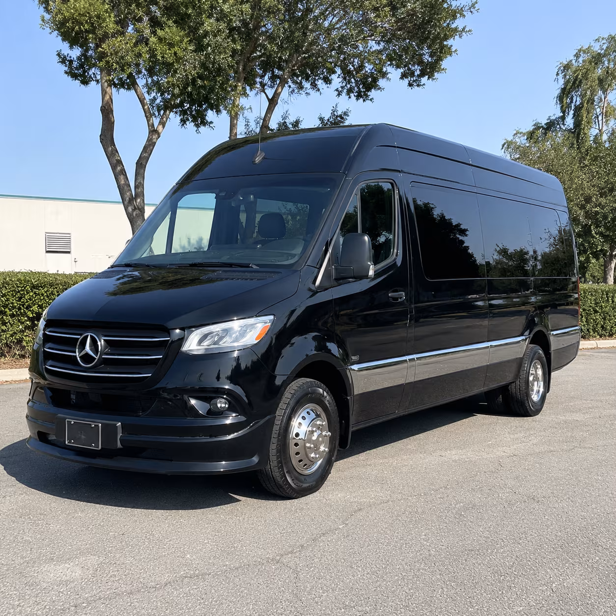 kenner sprinter van with driver